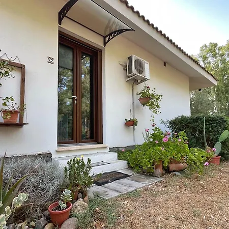 Garden 24