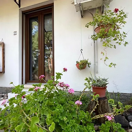 فندق مبيت وإفطار Garden 24